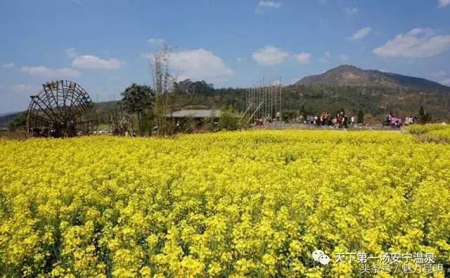 春游踏青云南7大最美的温泉不可不去！