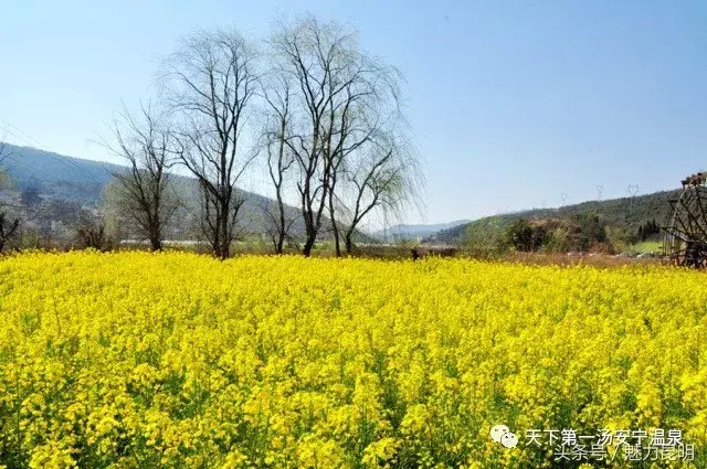 春游踏青云南7大最美的温泉不可不去！